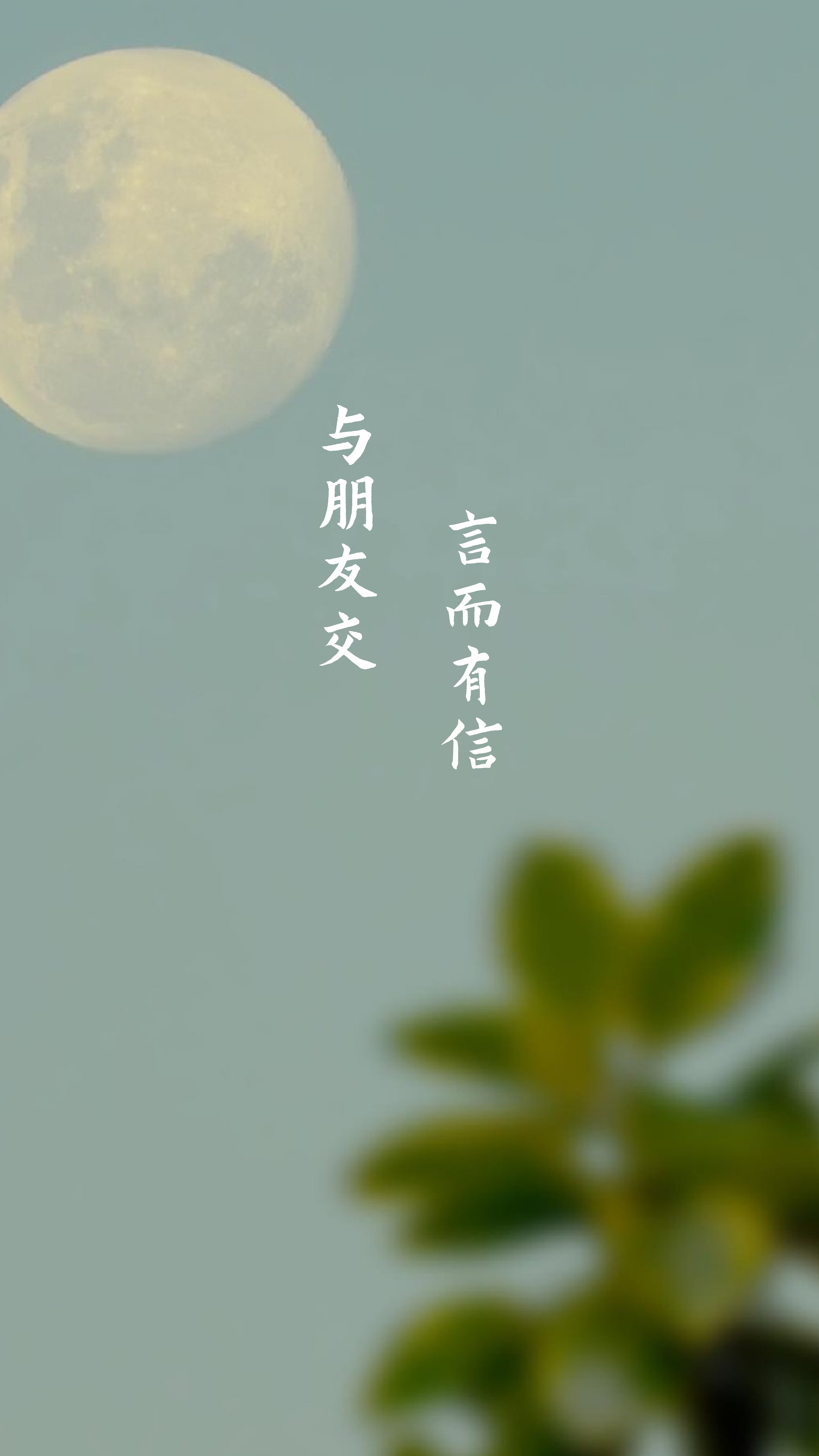 善交集合第一部分阅读感悟善交集合，阅读与人际关系的桥梁