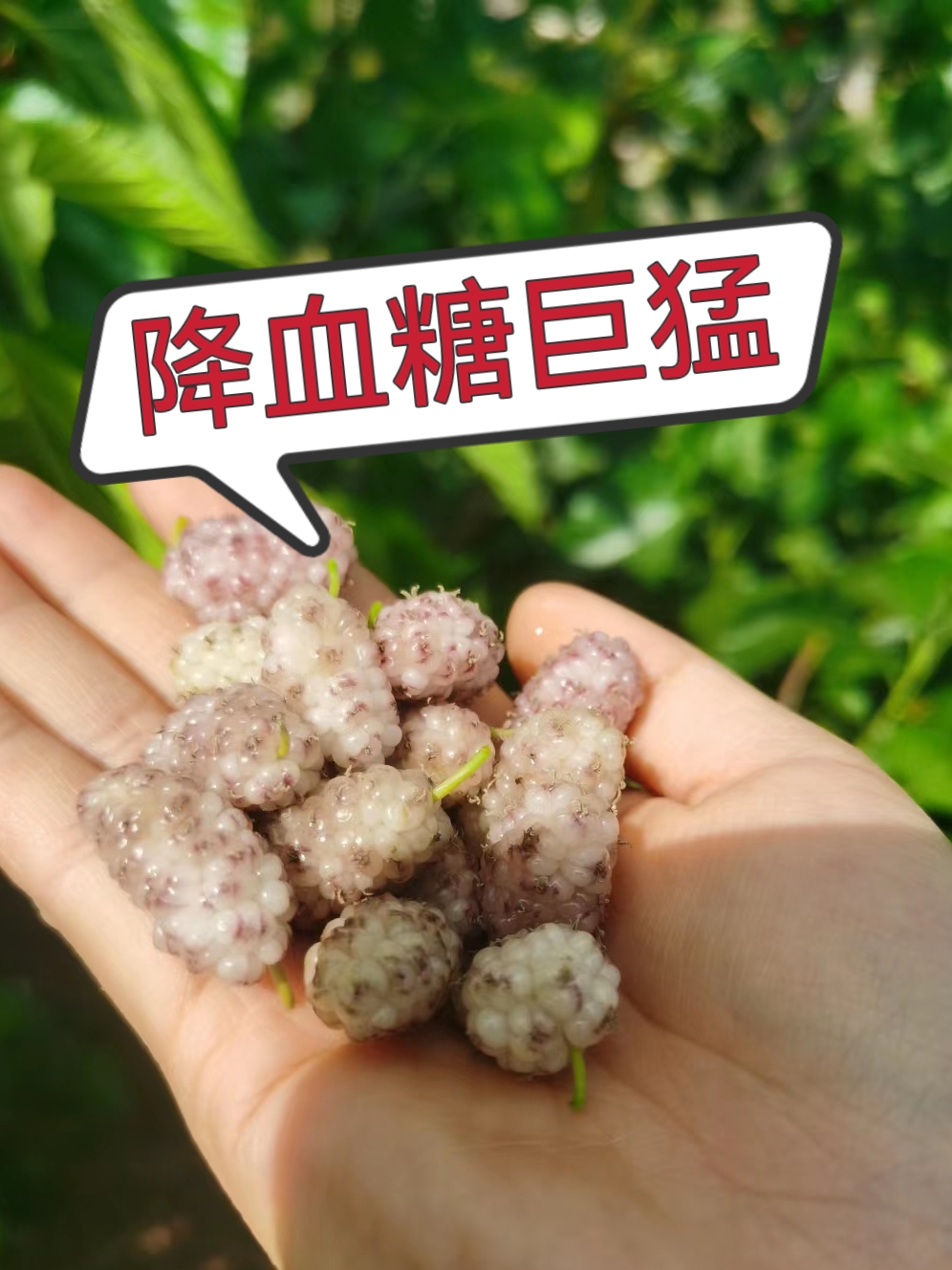 五谷杂果的奇妙之旅——草莓、芒果、秋葵、丝瓜、香蕉与绿巨人的故事-第2张图片