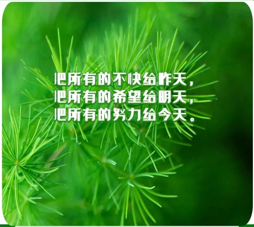 直接进入正能量网站，开启积极向上的生活之旅-第2张图片