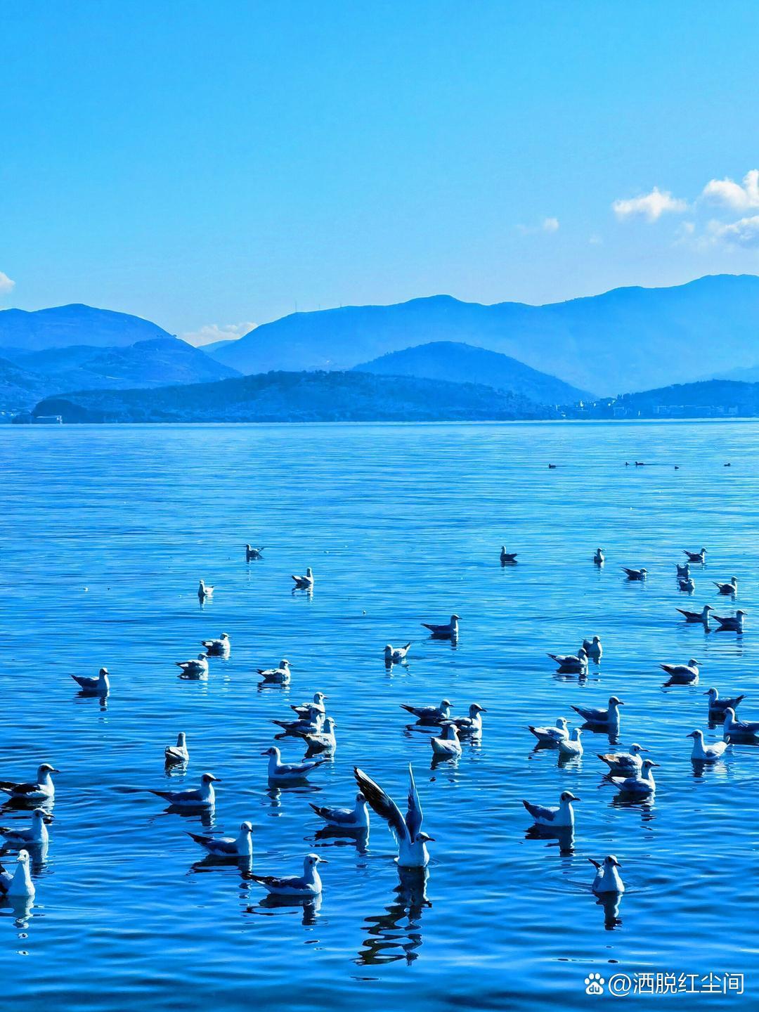 深一下浅一下深深浅浅来一下探索深浅之间的奥秘——深深浅浅来一下-第2张图片