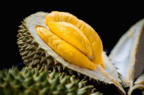 榴莲视频下载安装，无限观看体验的探索-第2张图片