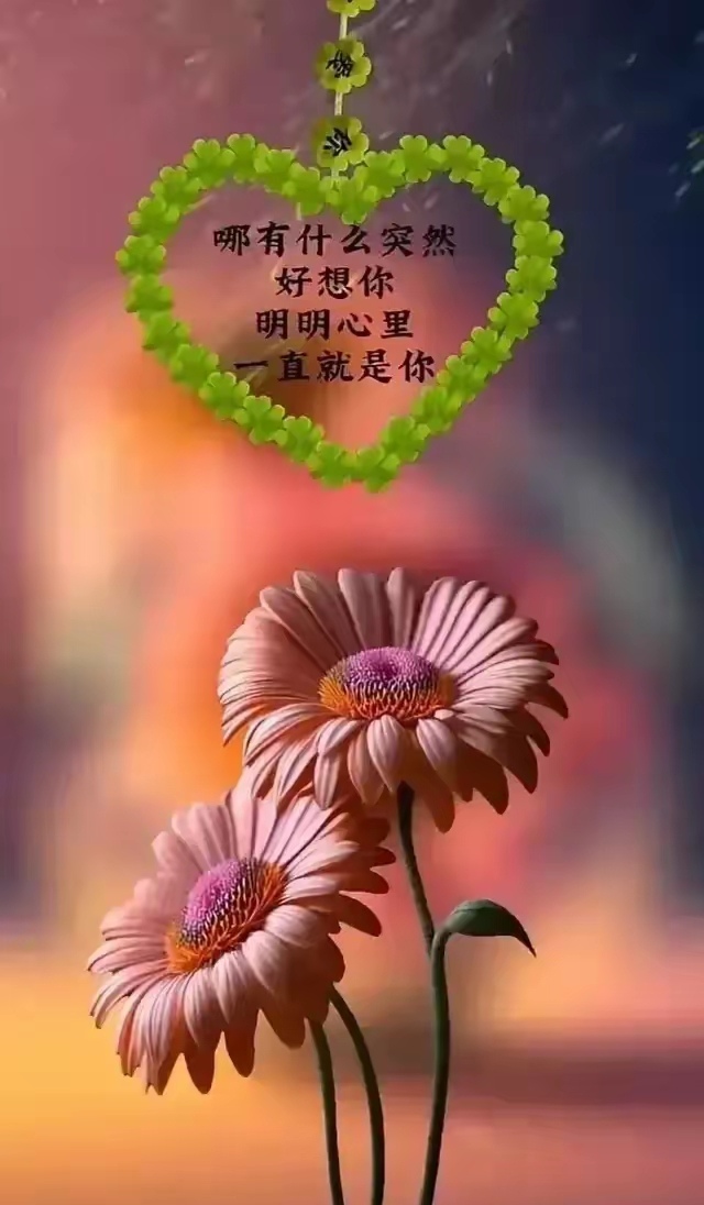 宝贝它想你了感受到了吗英文宝贝的思念，你感受到了吗？-第2张图片