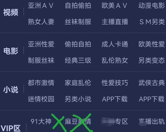 免费全部黄A片免费播放软件警惕非法内容传播，关于免费全部黄A片免费播放软件的风险与危害-第1张图片