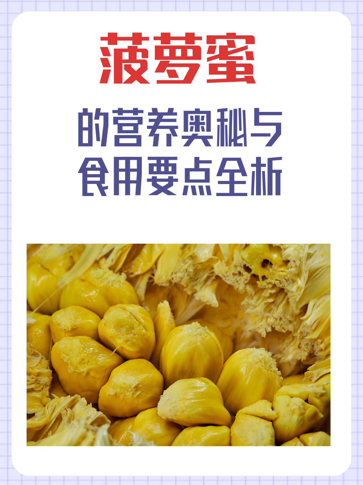 菠萝菠萝蜜，在线免费观看视频的乐趣探索