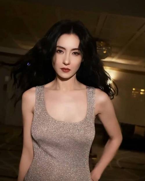 张柏芝私人相册书籍张柏芝私人相册揭秘-第2张图片