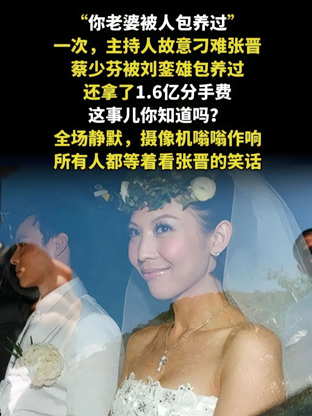 蔡少芬1.6亿 刘銮雄蔡少芬与刘銮雄传闻背后的真相，被玩到吐的背后故事