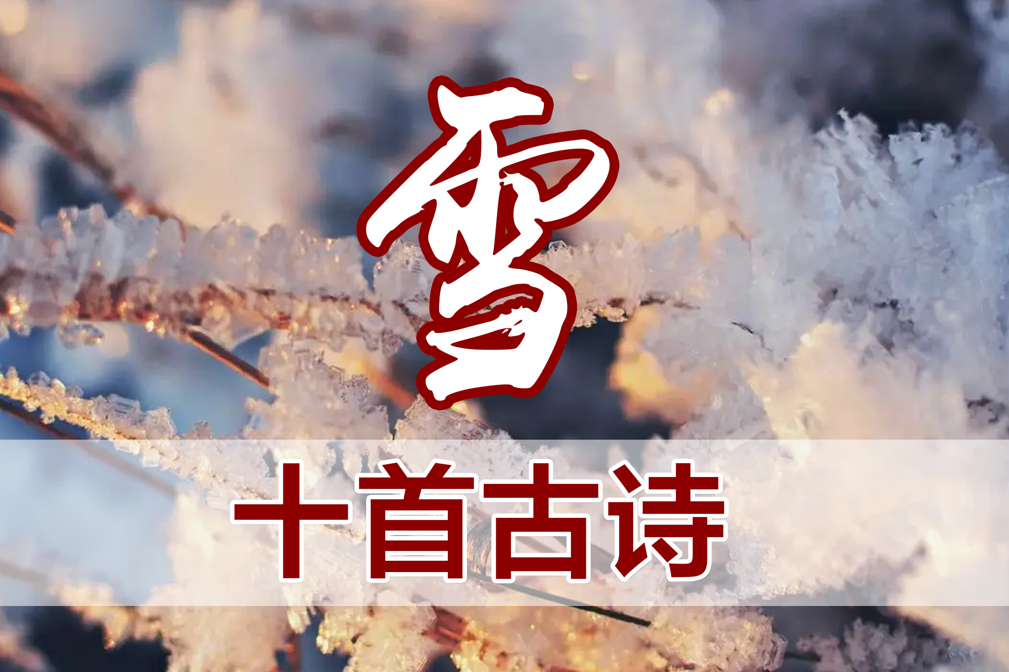 雪踪秘境攻略雪踪秘境攻略，探索冰雪世界的秘密-第1张图片