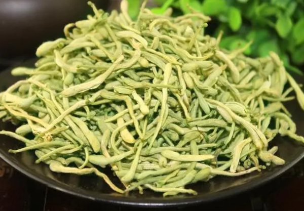 深入浅出TXl金银花讲的什么深入浅出解析TXl金银花的独特魅力