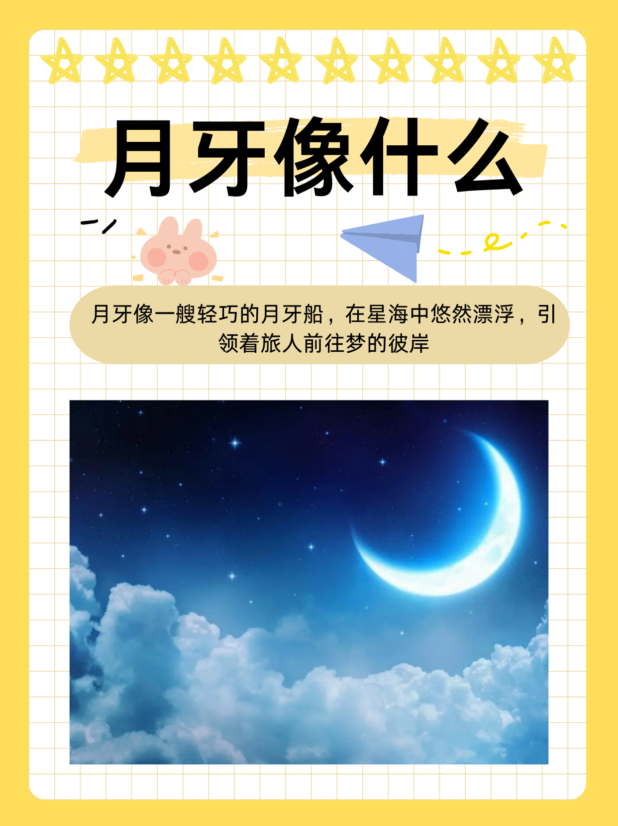 探索未知领域——ZOOM人与禽类的奇妙世界