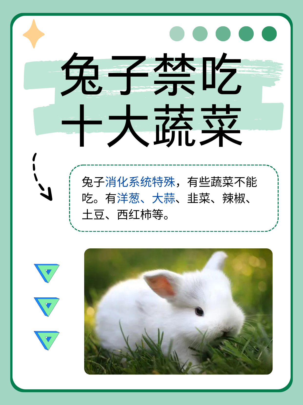 如何吃女生的小兔子图片如何正确享受与女友的亲密时光——以吃小兔兔为例