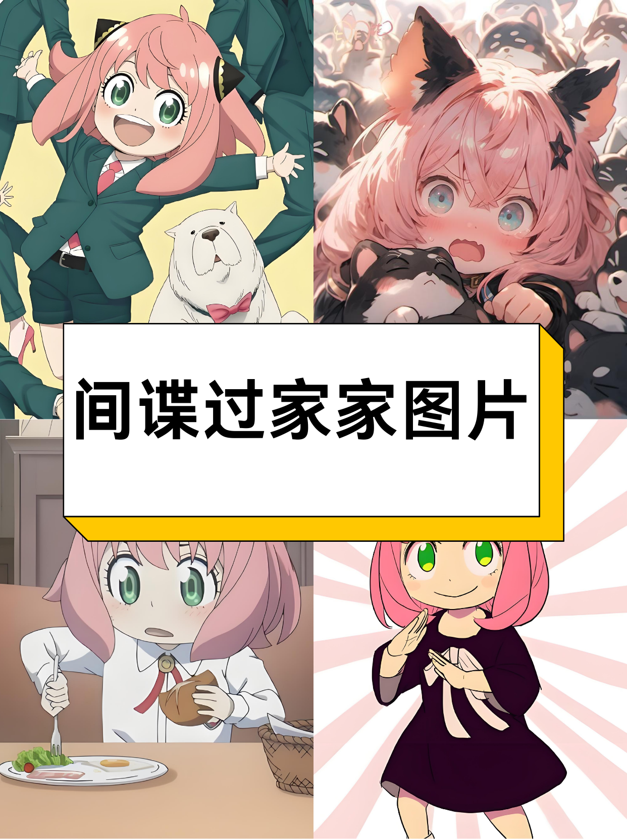 动漫一起错错错30分钟电视剧动漫之旅，错错错，30分钟电视剧的魅力