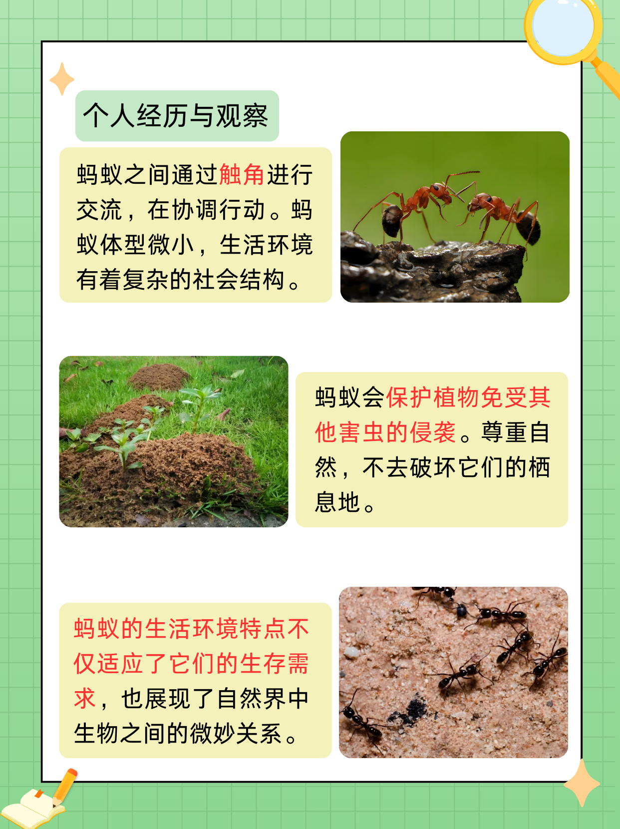 蚊子与血型，蚂蚁庄园里的科学探索-第1张图片