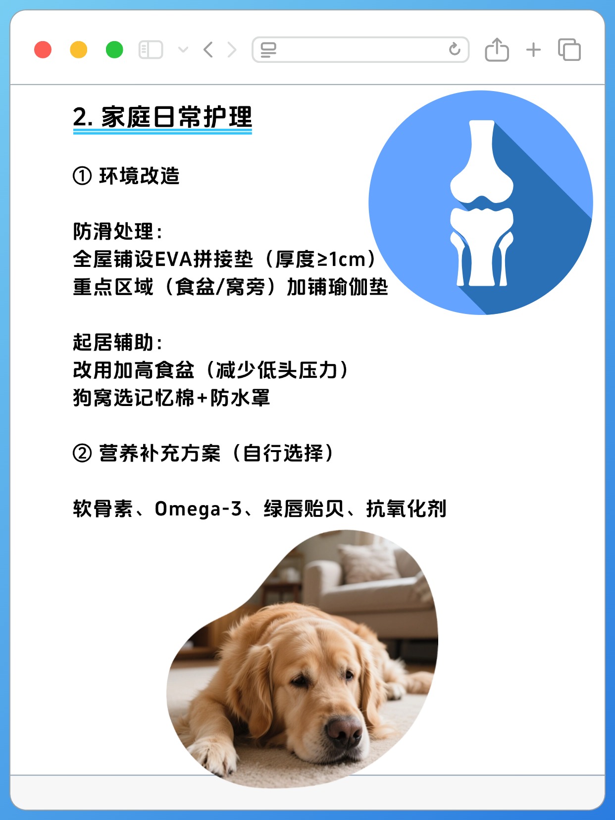 狗狗太长太痛了影片狗狗的成长之痛，理解与应对-第2张图片