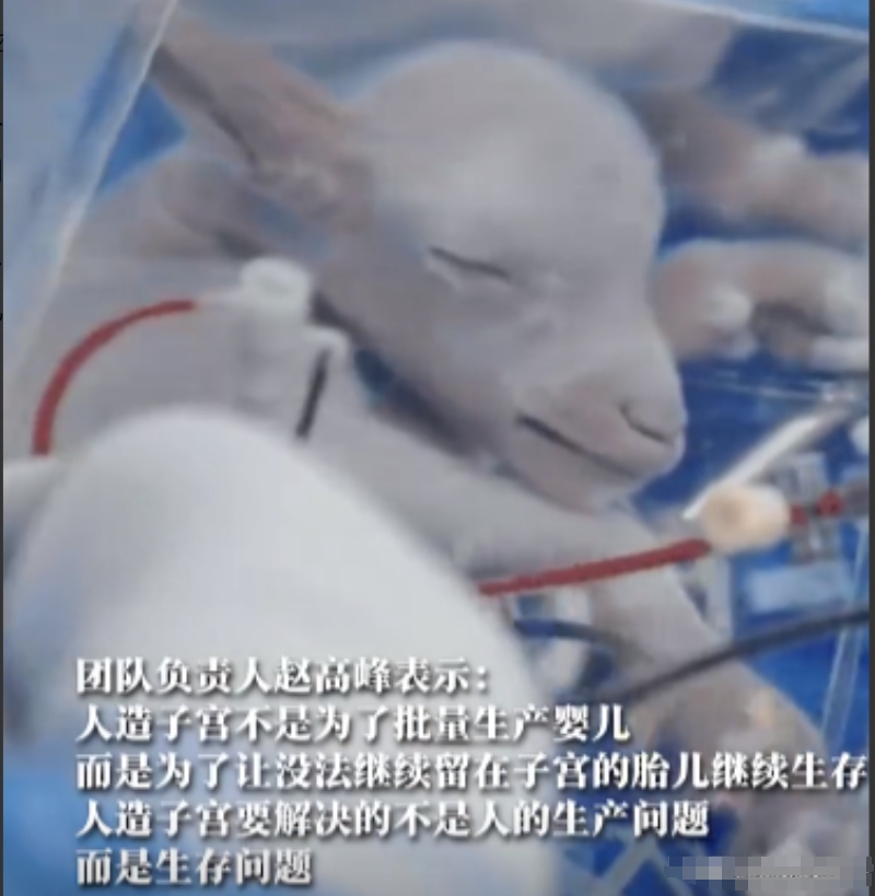 男ji大巴进入女人视频ai明星探索AI科技下的性别界限——男ji大巴与女人视频中的明星现象-第2张图片
