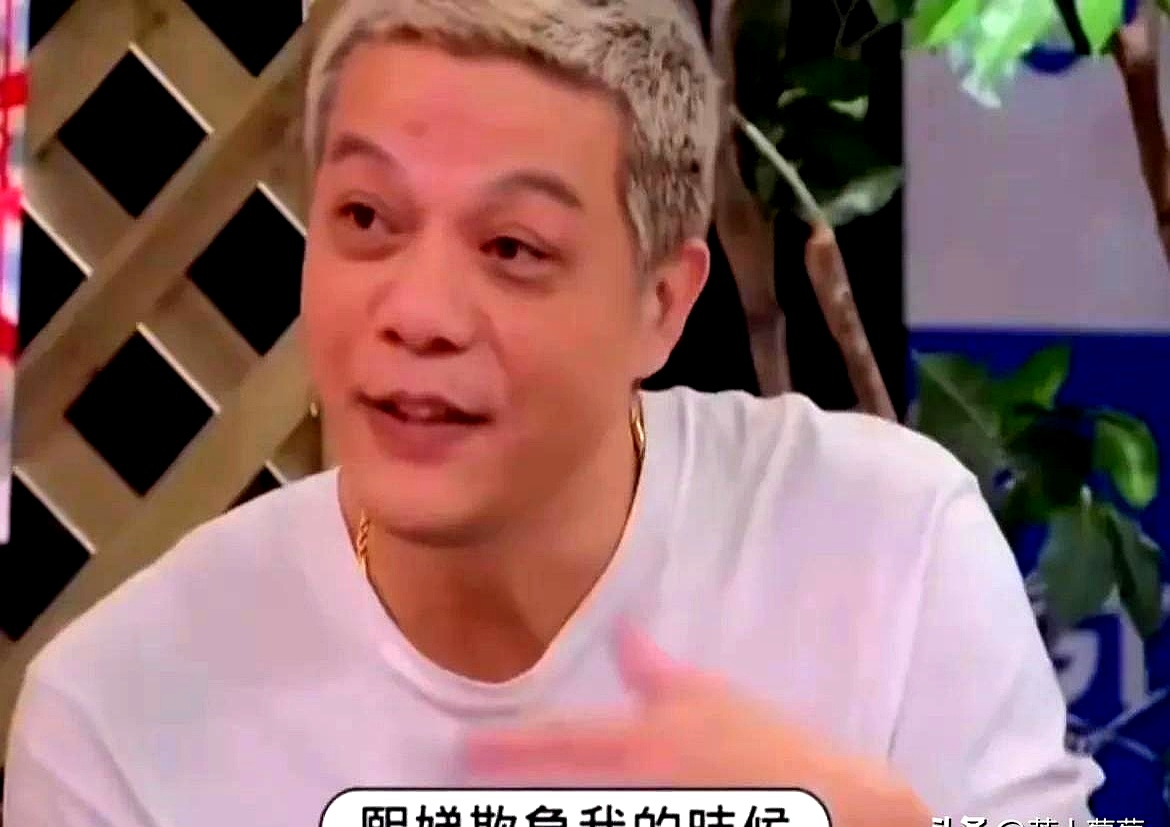 色娱导航色娱导航，探索网络娱乐的正确途径-第1张图片