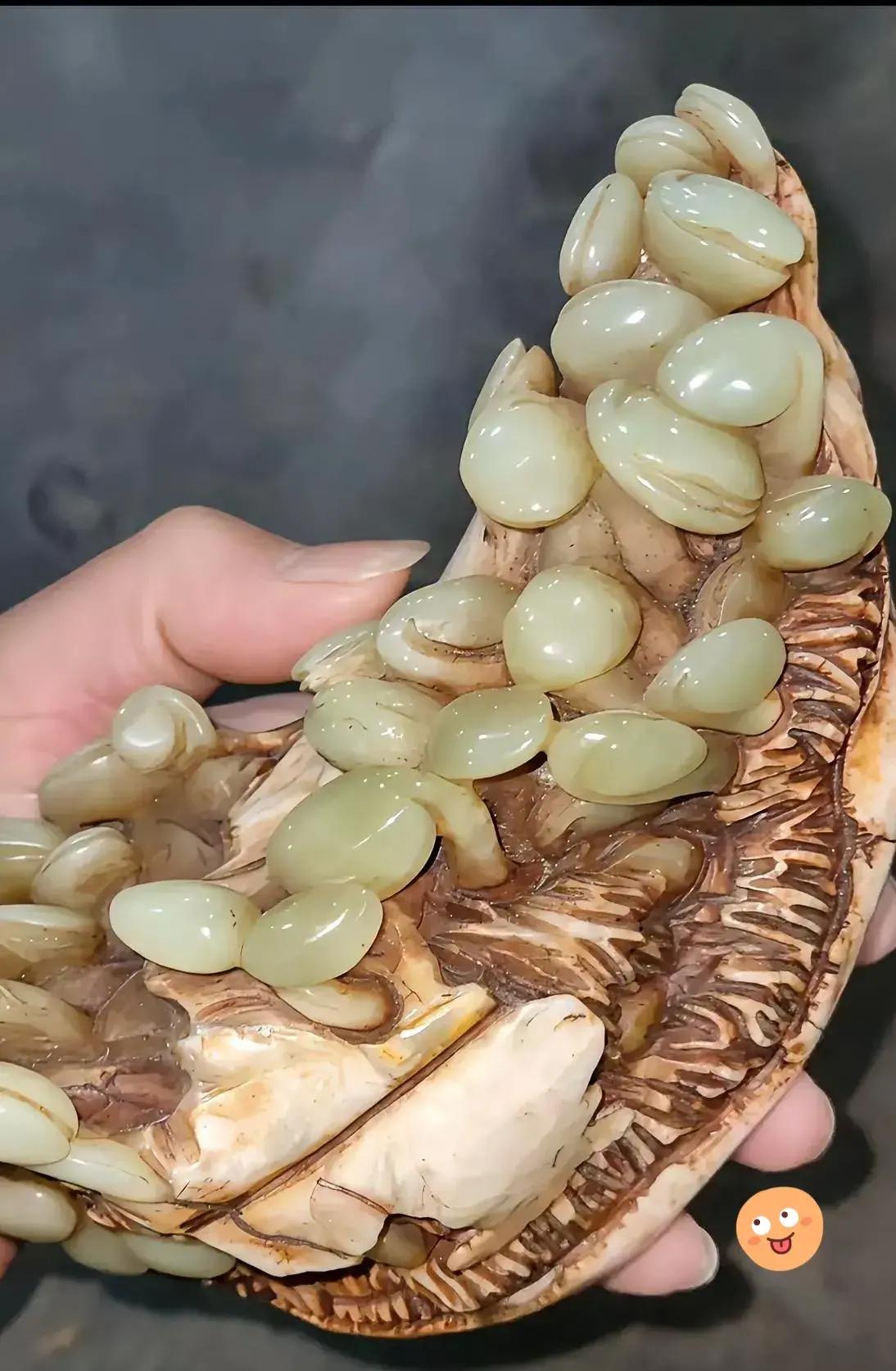 爷爷我想吃你的大蘑菇爷爷，我想吃你的大蘑菇