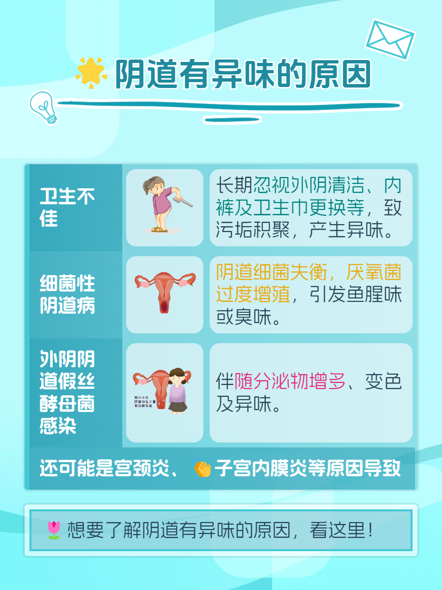 关于女性私密部位的理解与探讨