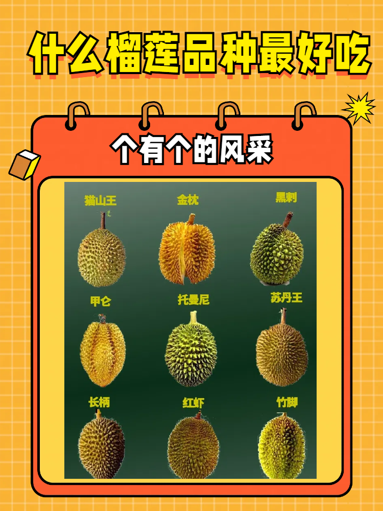 榴莲视频. apk榴莲视频. apk，探索其背后的魅力与使用指南-第2张图片