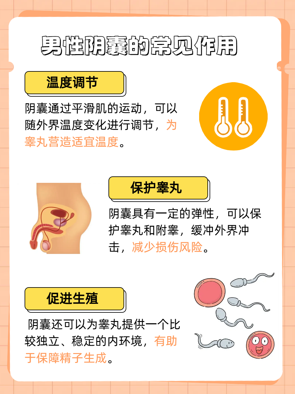 性满足BBWBBWBBW探索性满足与BBWBBWBBW的关联-第2张图片