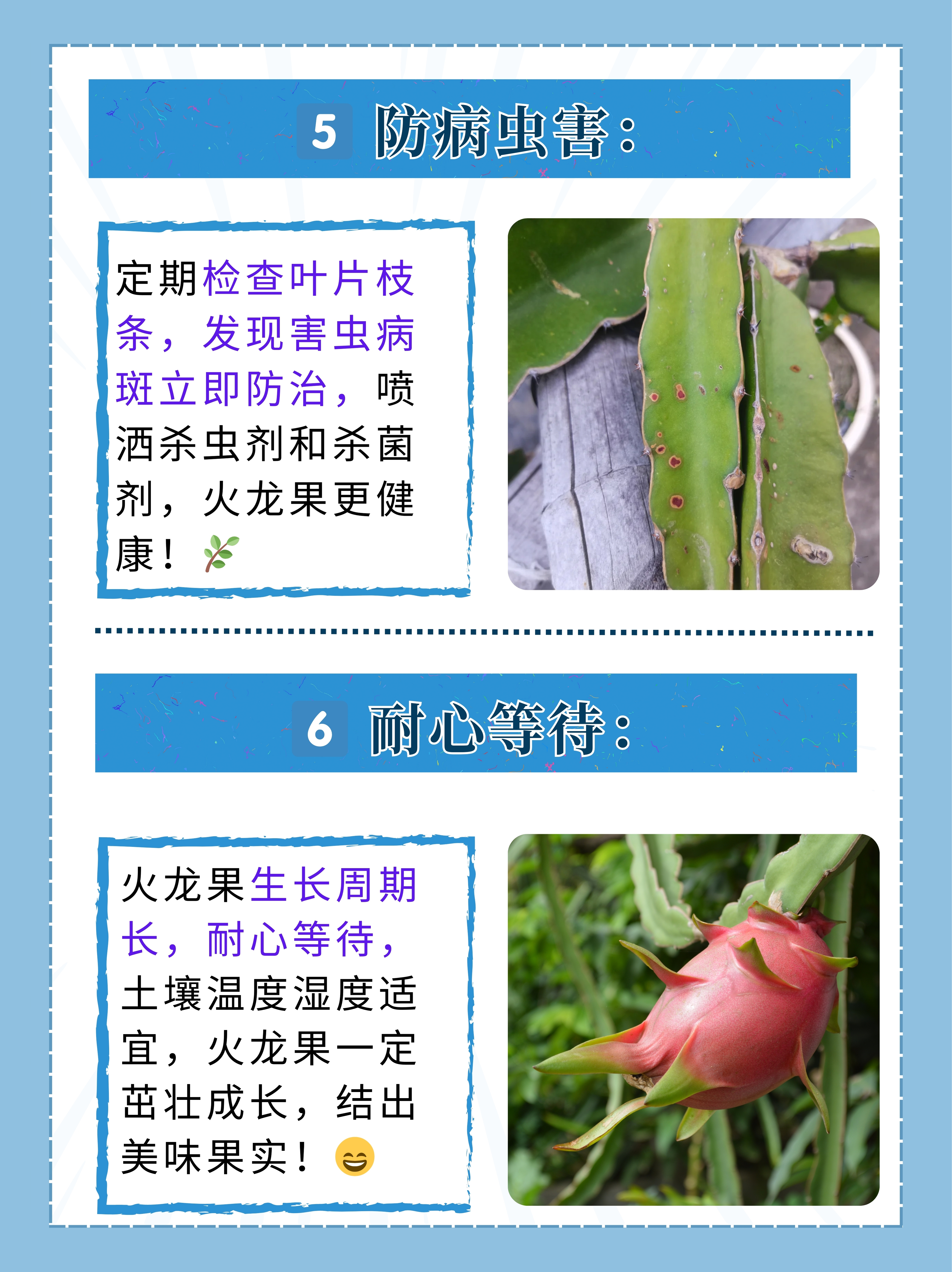 成品网站W灬源码火龙果成品网站W灬源码火龙果，探索其功能与价值-第3张图片