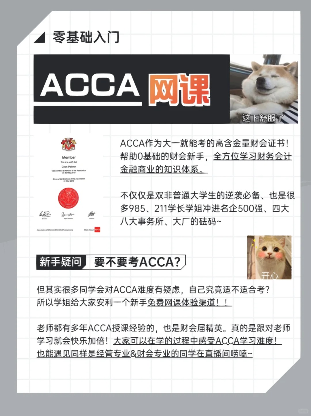 ACCA少女，网课视频的全新学习体验-第3张图片