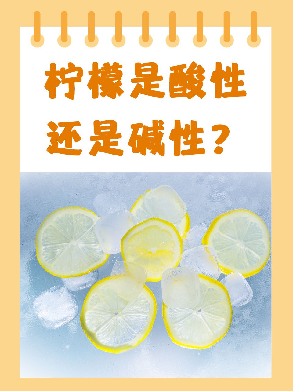 多肉植物与汽车的奇妙世界——1V4的独特体验