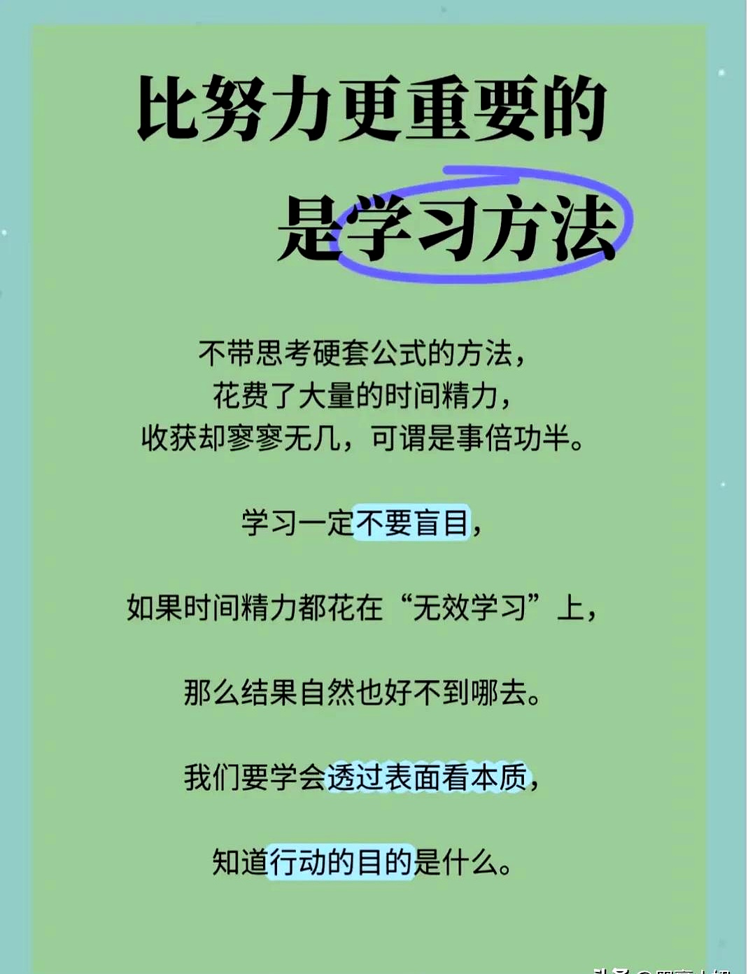 插着几把写作业插着几把写作业的智慧与意义-第2张图片