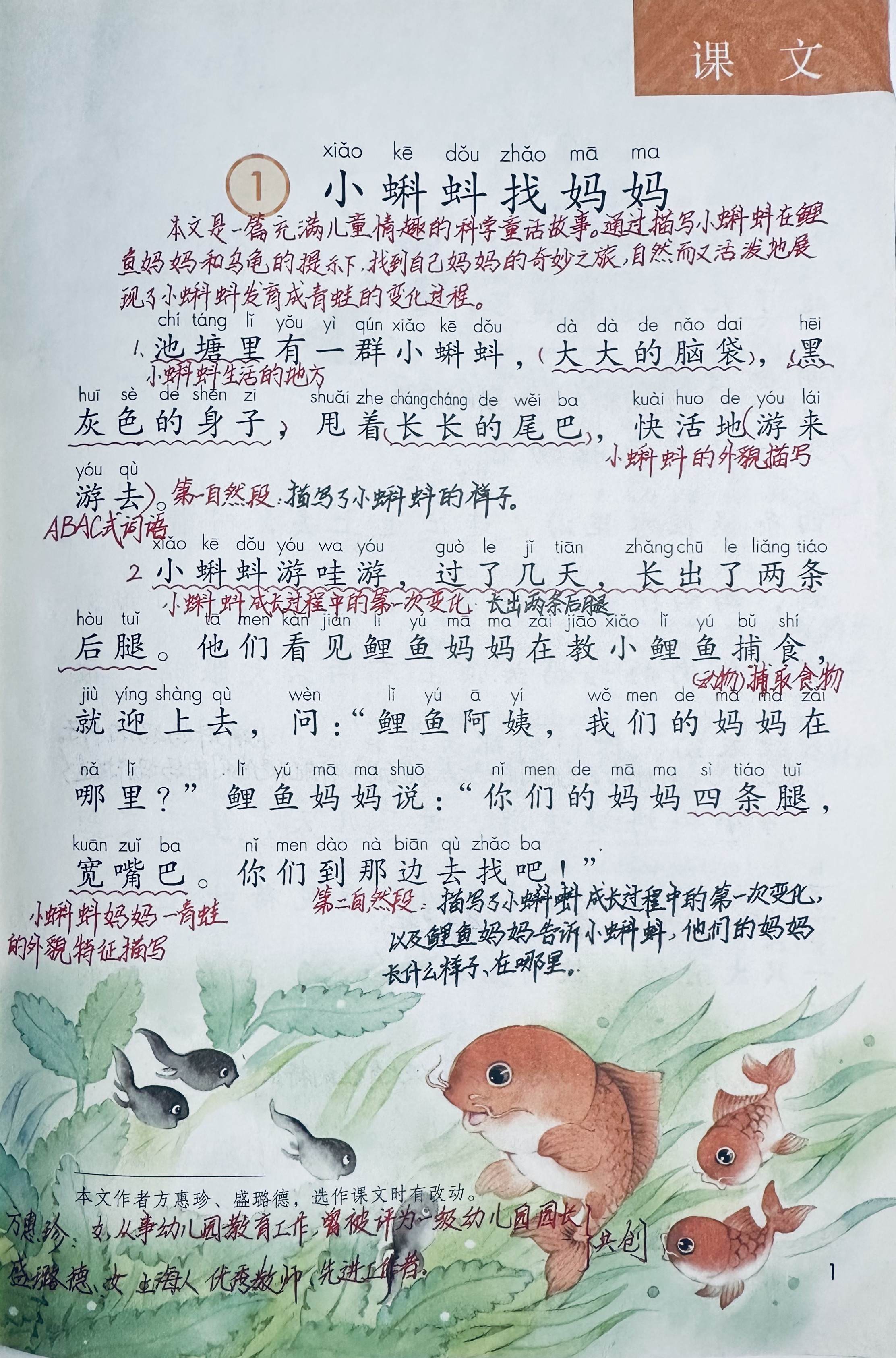 小蝌蚪视频在线观看免费播放小蝌蚪视频，免费在线观看与播放体验-第2张图片