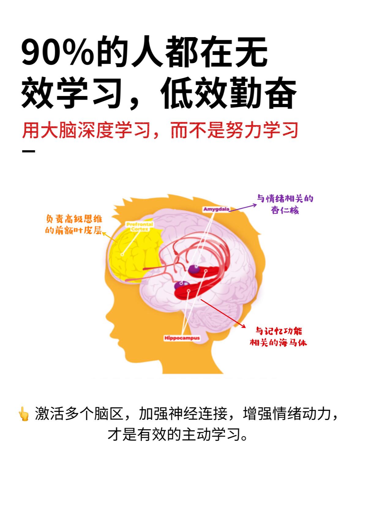 坐在学霸棍子上写作业了吗图片学霸的棍子与我的作业之旅