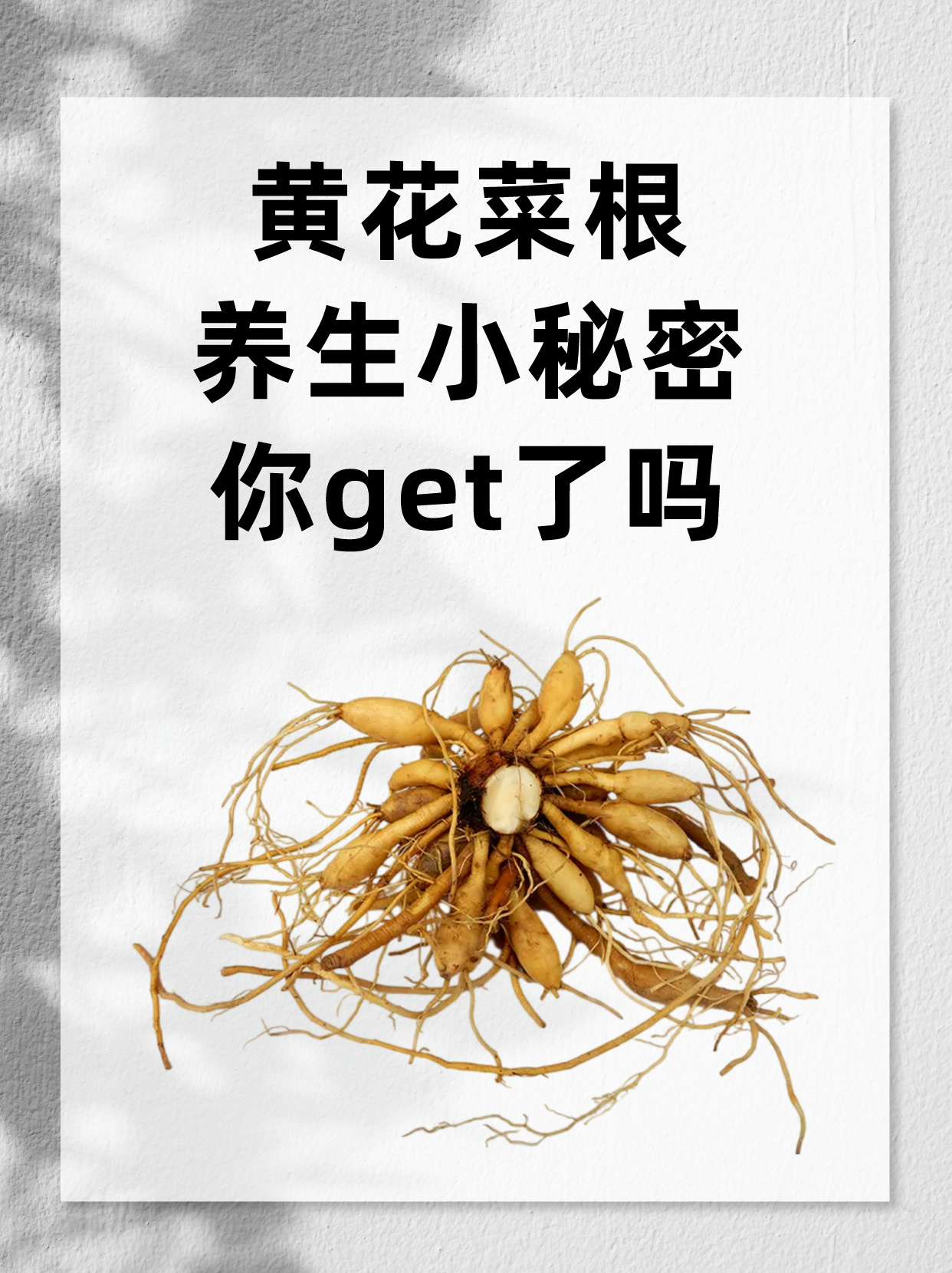忘忧草一线二线三线忘忧草的秘密世界，一线、二线、三线之探索