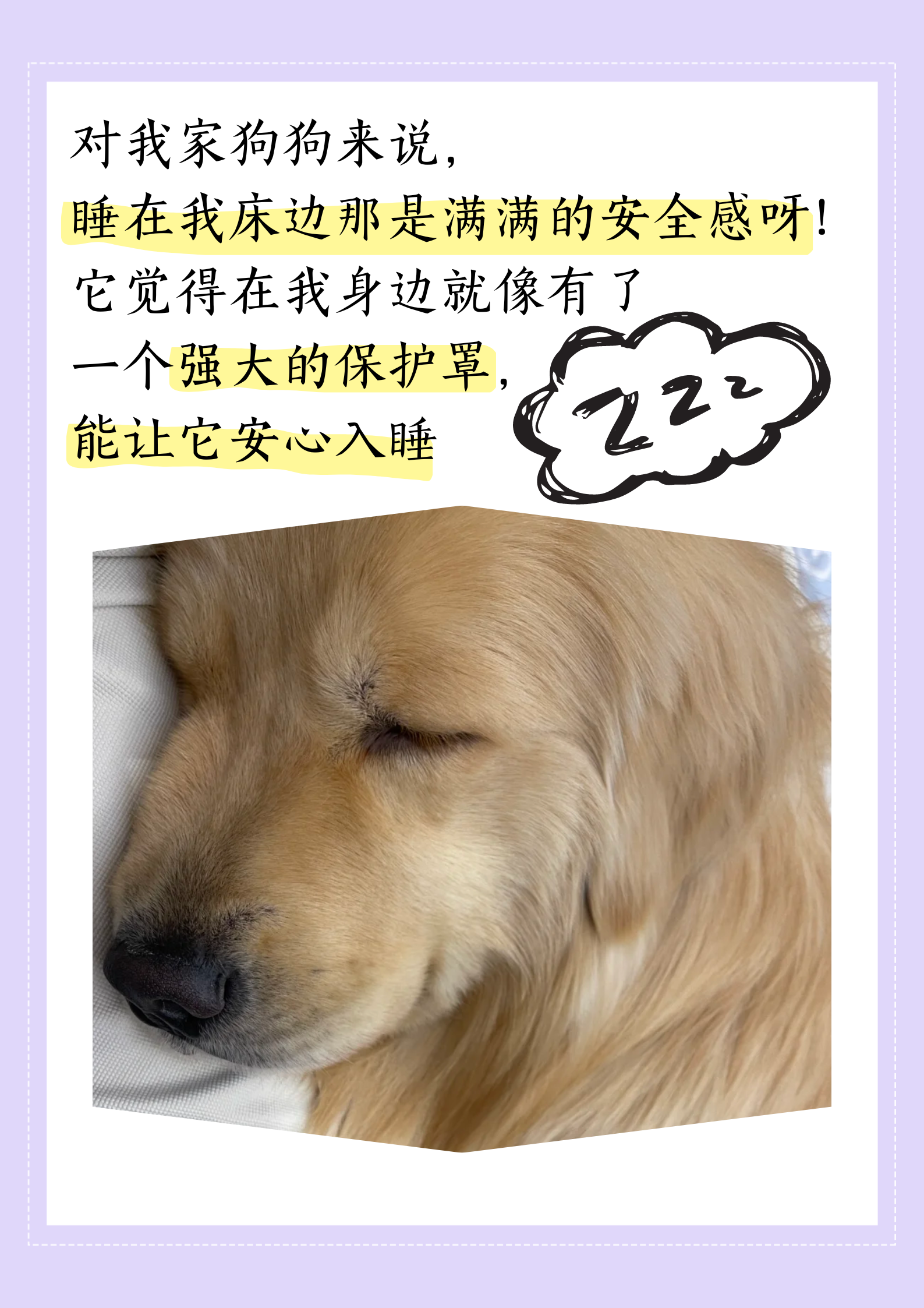 我家狗狗一天上我一次文章我家狗狗的独特习惯，一天上我一次-第2张图片