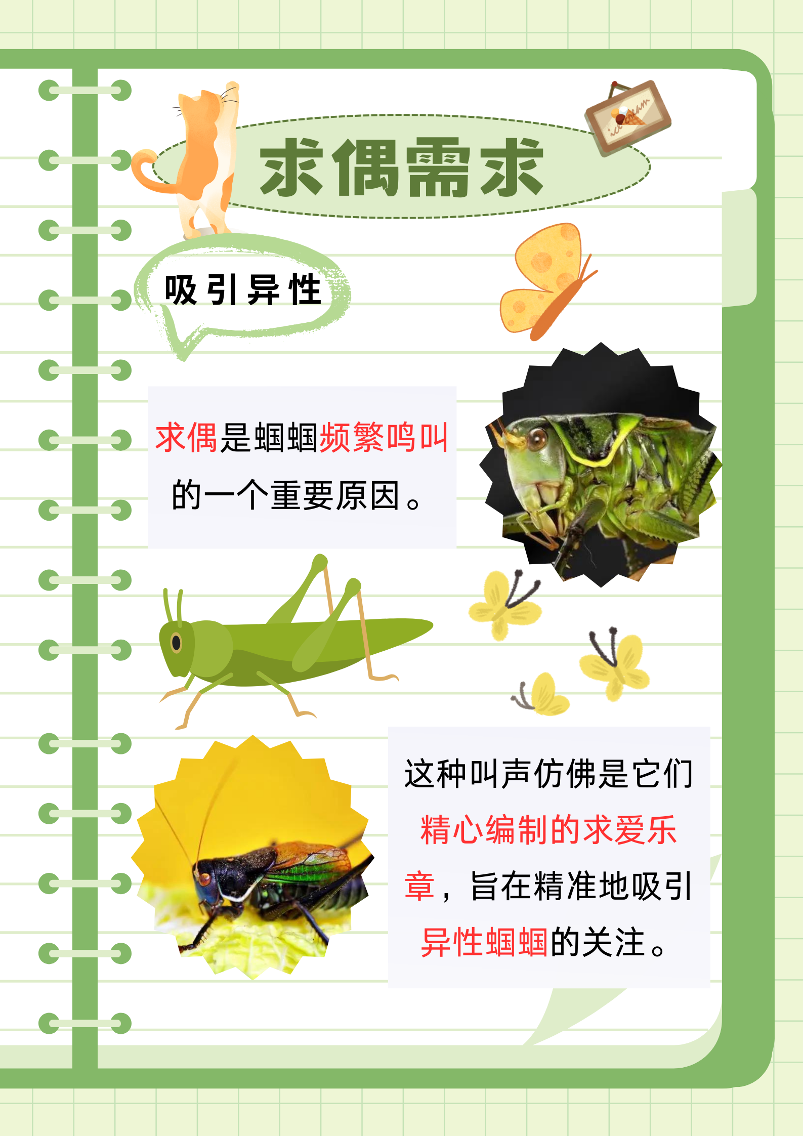 探索上面一个日下面两个的奥秘-第2张图片