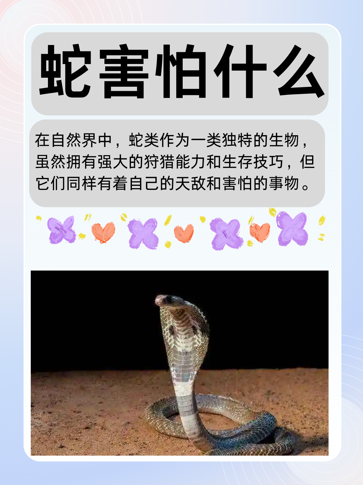 80级怀旧服蛛魔几丁质蛛魔几丁质，神秘而独特的生物材料