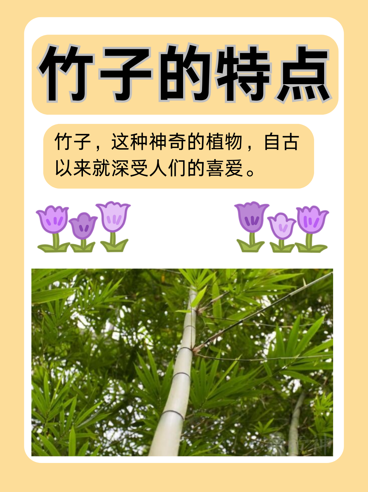 久久国内精品自在自线久久国内精品自在自线——探索中国文化的独特魅力-第1张图片