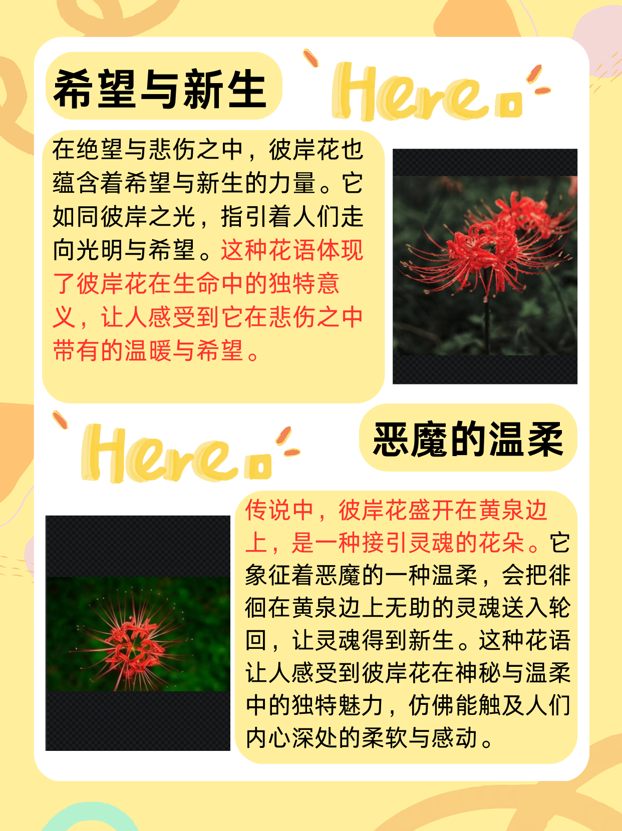 探索神秘而独特的文化现象——selangwang-第3张图片