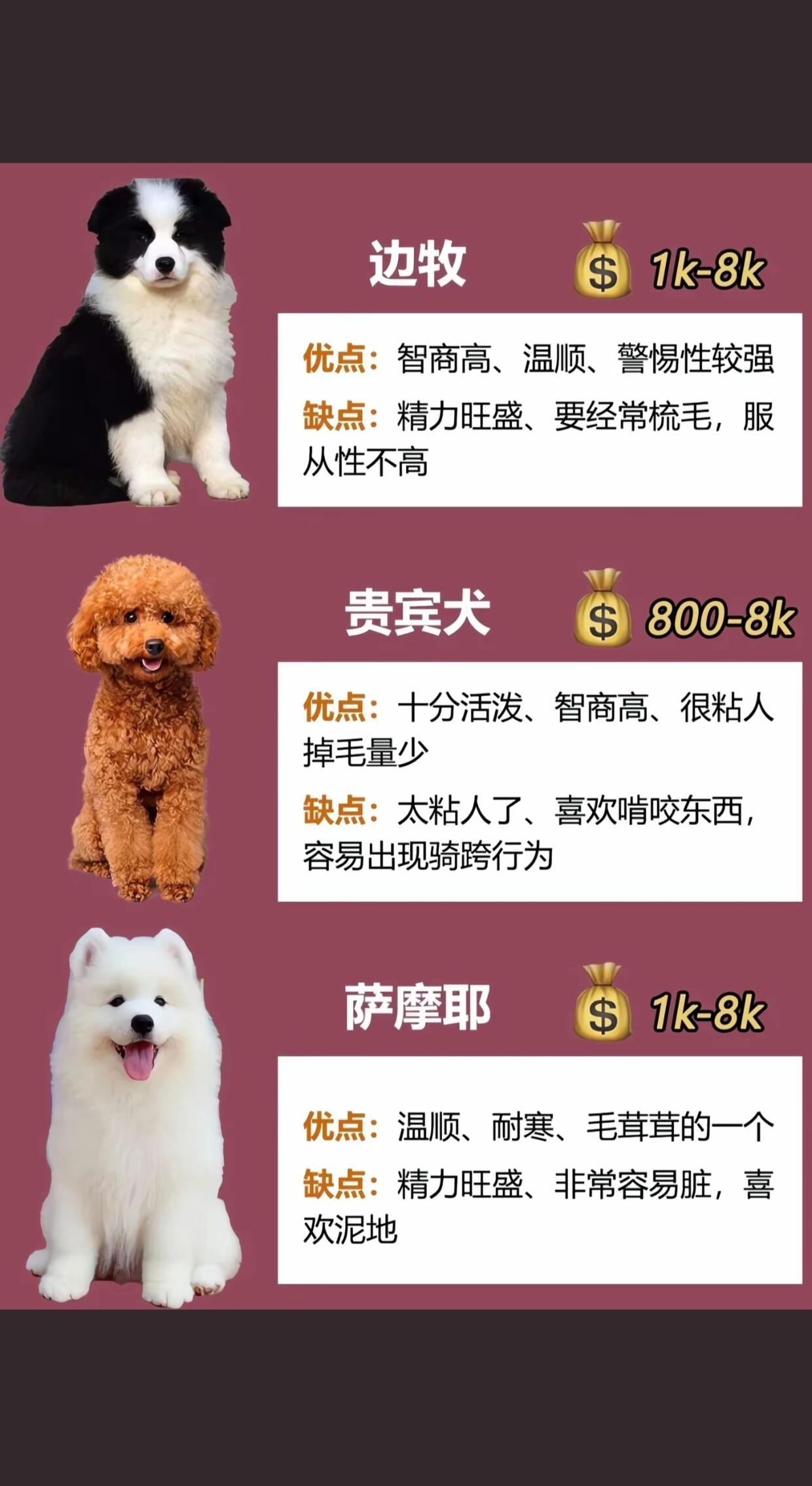 蜀门仙禽宠物选择蜀门仙禽，千年传说与现代解读-第2张图片