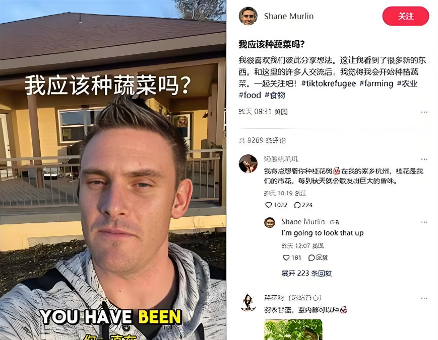 美国人与畜禽CROPROATION美国畜禽CROPROATION，一种独特的农业与人类共生关系-第2张图片