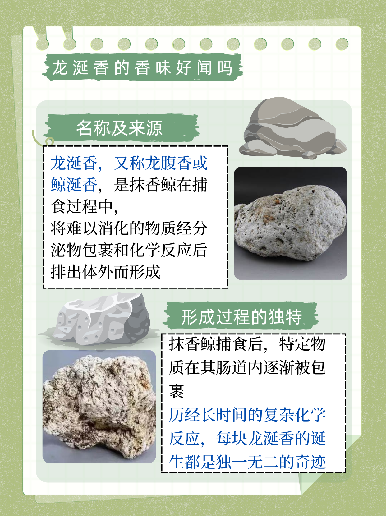 龙涎香来自哪种鲸类龙涎香，神秘的香气之源——来自哪种鲸类的珍稀之宝-第1张图片