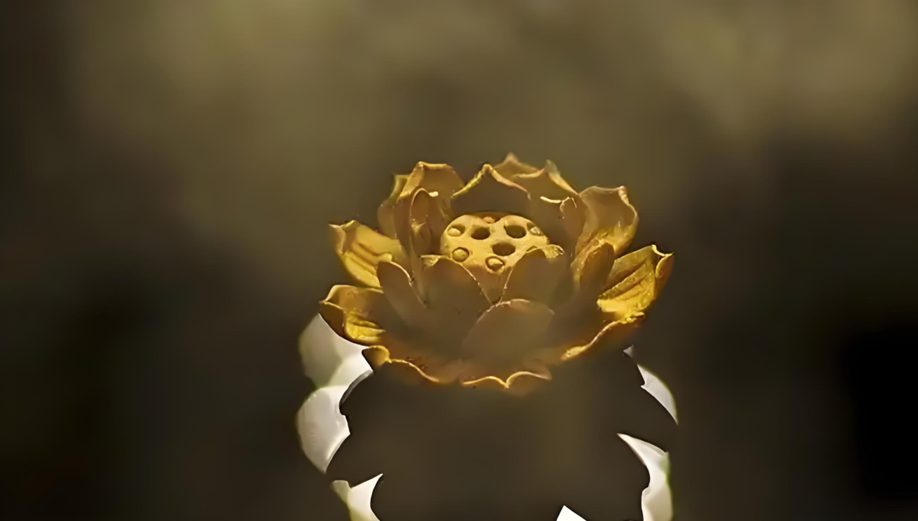 藏传少女肉莲法器是做什么用的藏传少女肉莲法器，神秘与神圣的宗教法器-第1张图片