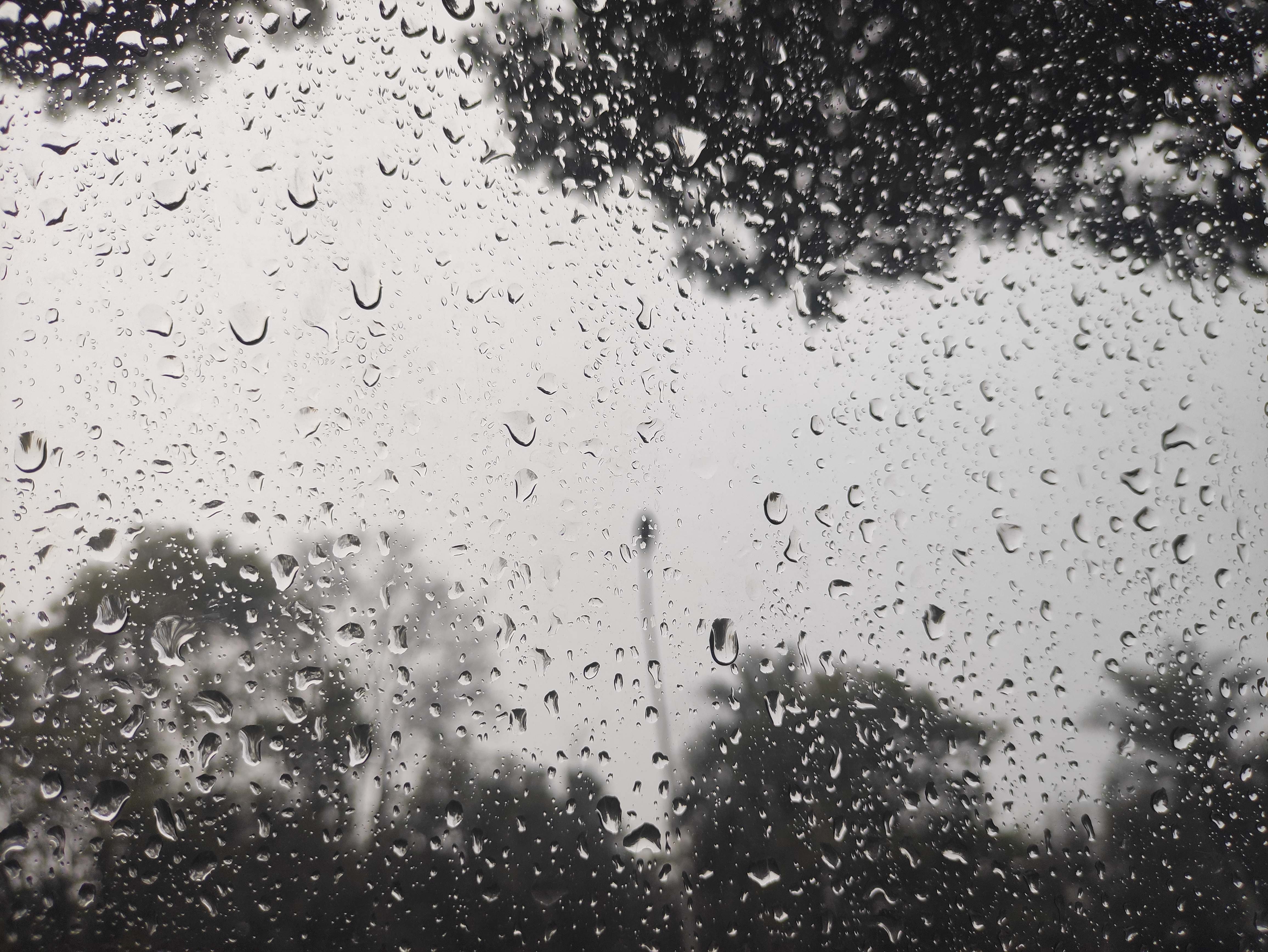 春雨的润泽——填得很满的充实感-第3张图片