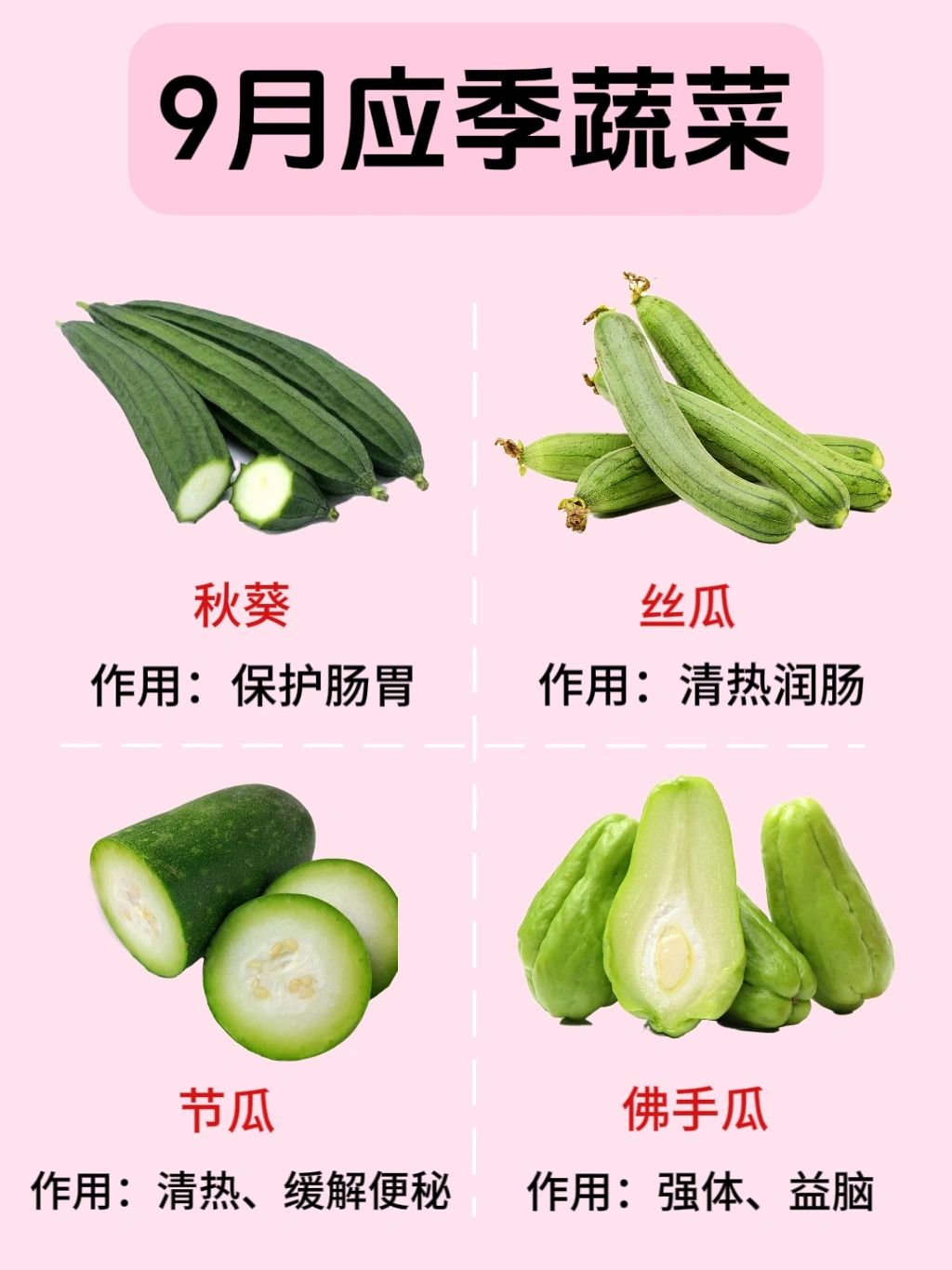 探索自然之美，青青草、向日葵、丝瓜、草莓、秋葵的官方下载与纯净资源获取-第2张图片