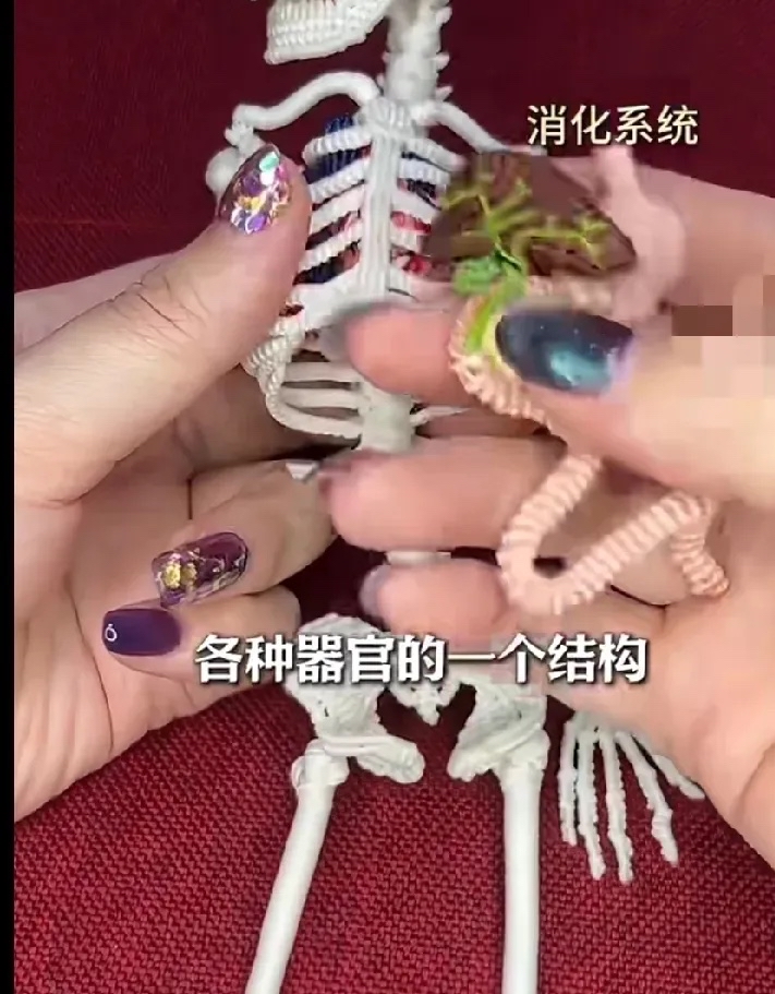 生物老师以己为教具的独特教学