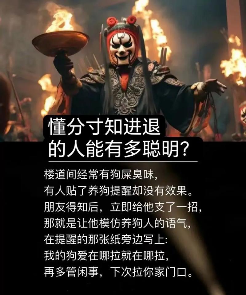 马后炮和打破砂锅问到底马后炮与打破砂锅问到底，深度探讨与反思的重要性