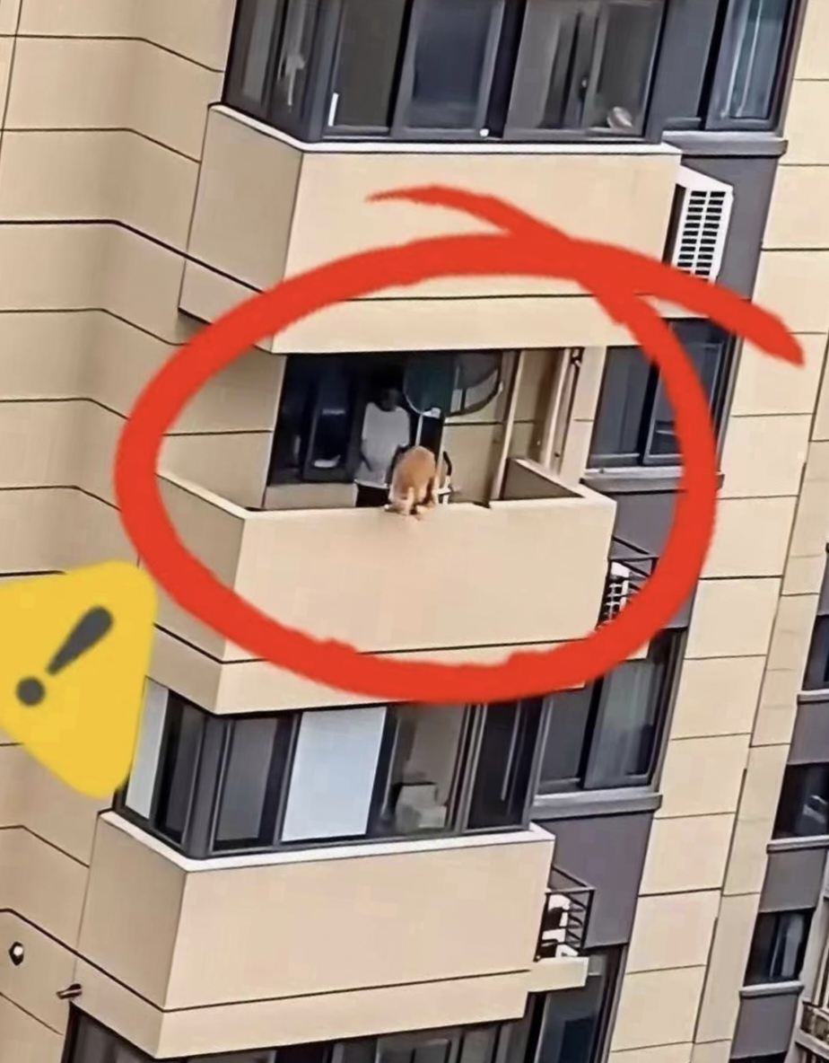 9分10秒落地窗头撞玻璃视频张津瑜事件，网络风波的反思与启示-第2张图片