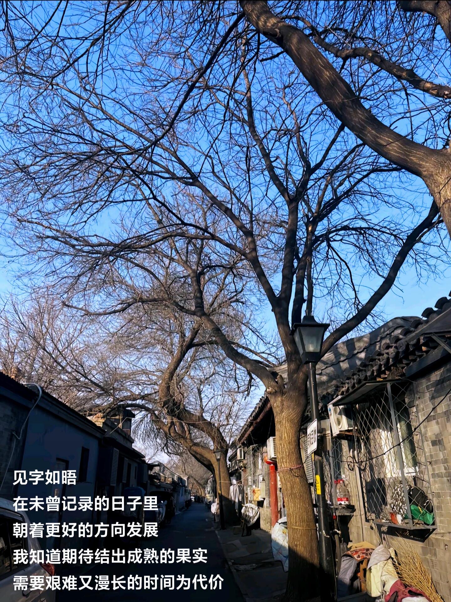 2019年，夜以继日的观察与记录-第3张图片