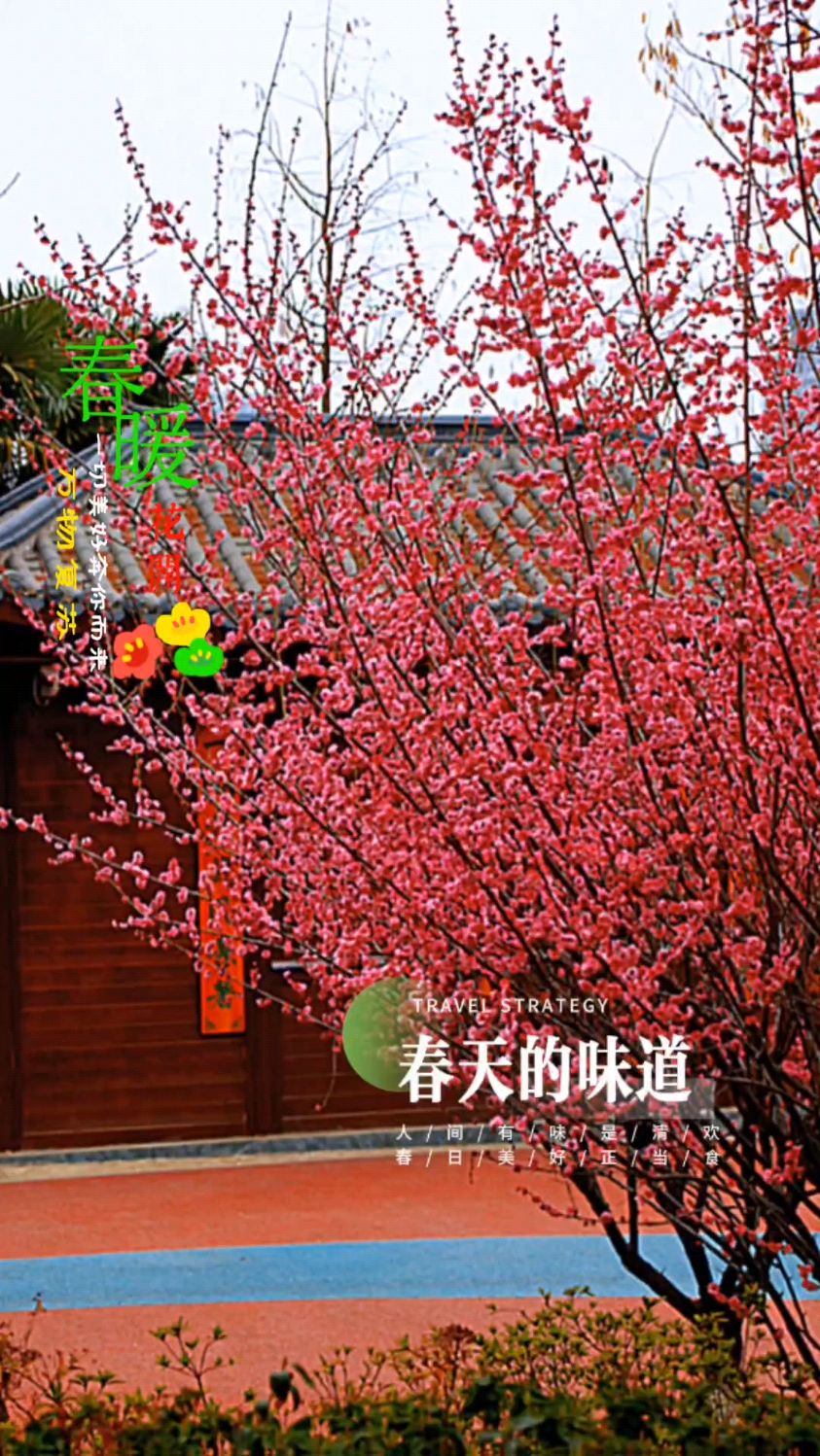 知花梅沙知花梅沙，自然之美的探索