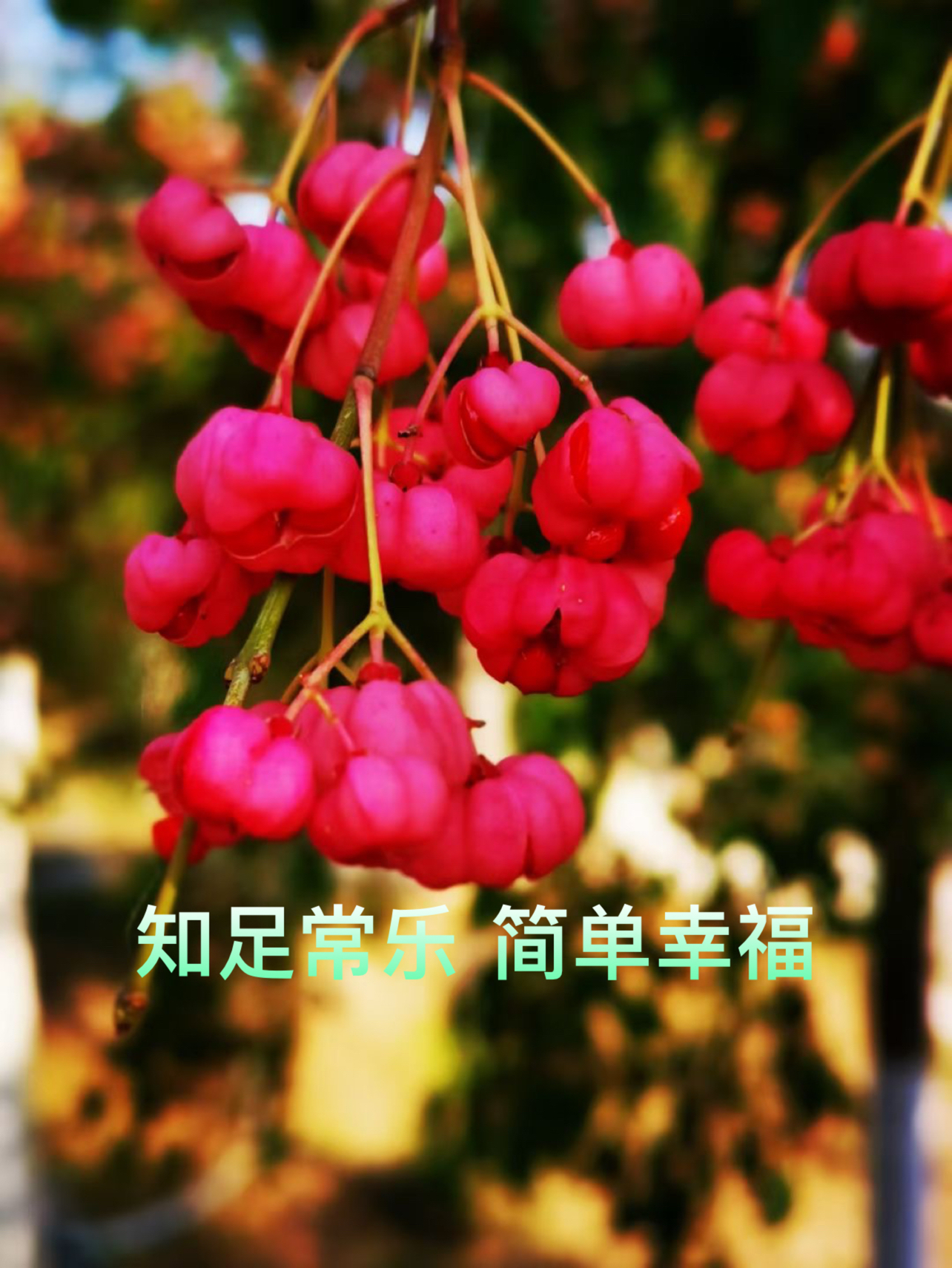 快乐家庭系列丛书，幸福生活的源泉-第1张图片