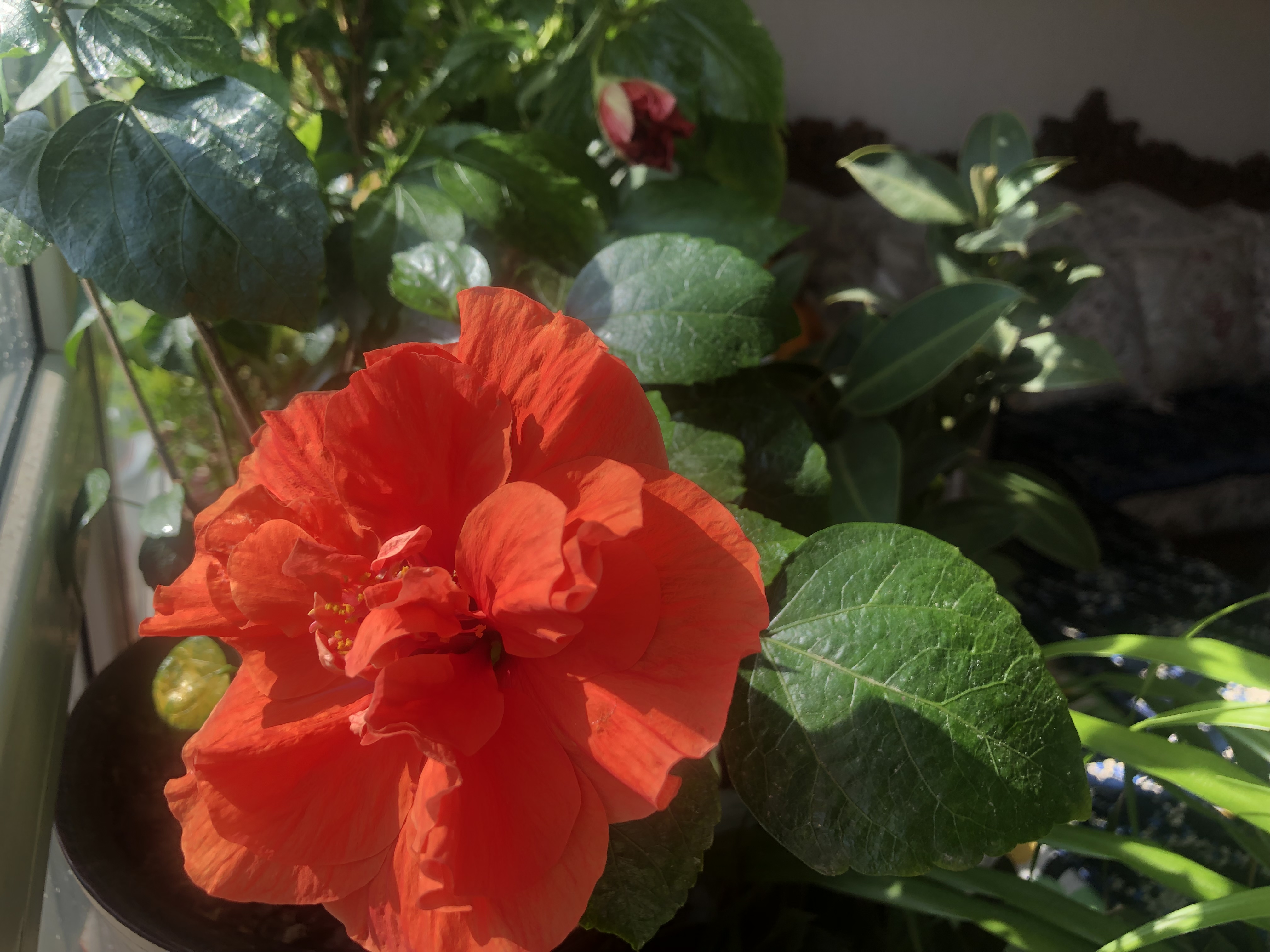 春暖花开，X吧有你更精彩