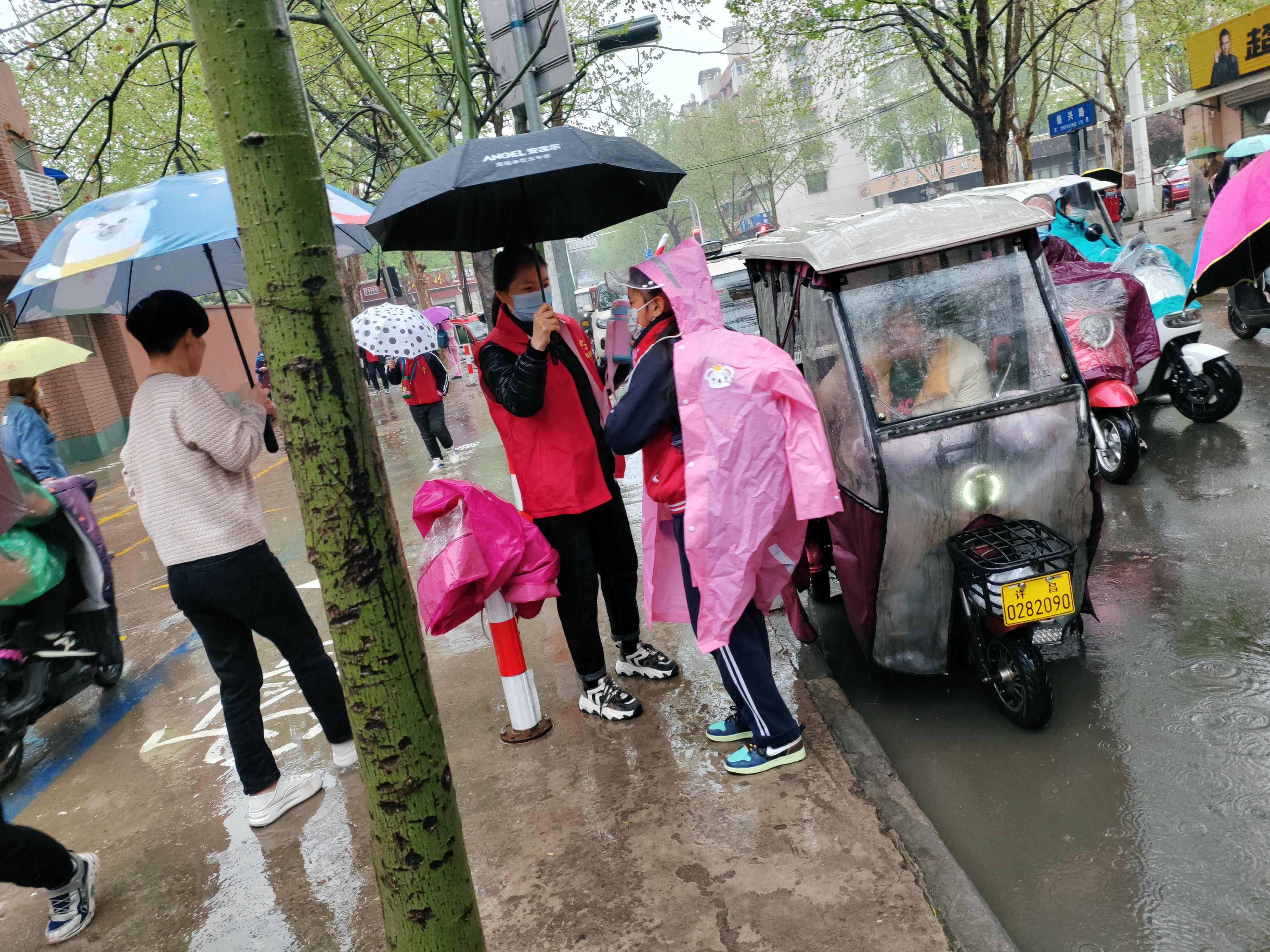 校园内车流涌动——POP1车多的独特景象-第2张图片