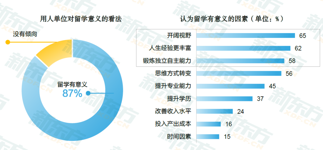 裸条下载，网络时代的风险与挑战